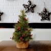National Tree 18 Inch Everyday Collection Mini Pine Cone and Berry Tree in Burlap (ED7-703-18-1) view 2