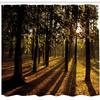 Ambesonne Forest Shower Curtain, Sunbeams Rays Through The Trees in Summertime Forest Countryside View Art Print, Cloth Fabric Bathroom Decor Set with Hooks, 69" W x 75" L, Orange Brown view 2