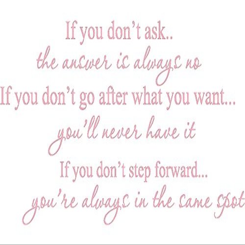 Decalgeek if You Don't Ask Vinyl Wall Art Pink17'' X 34''