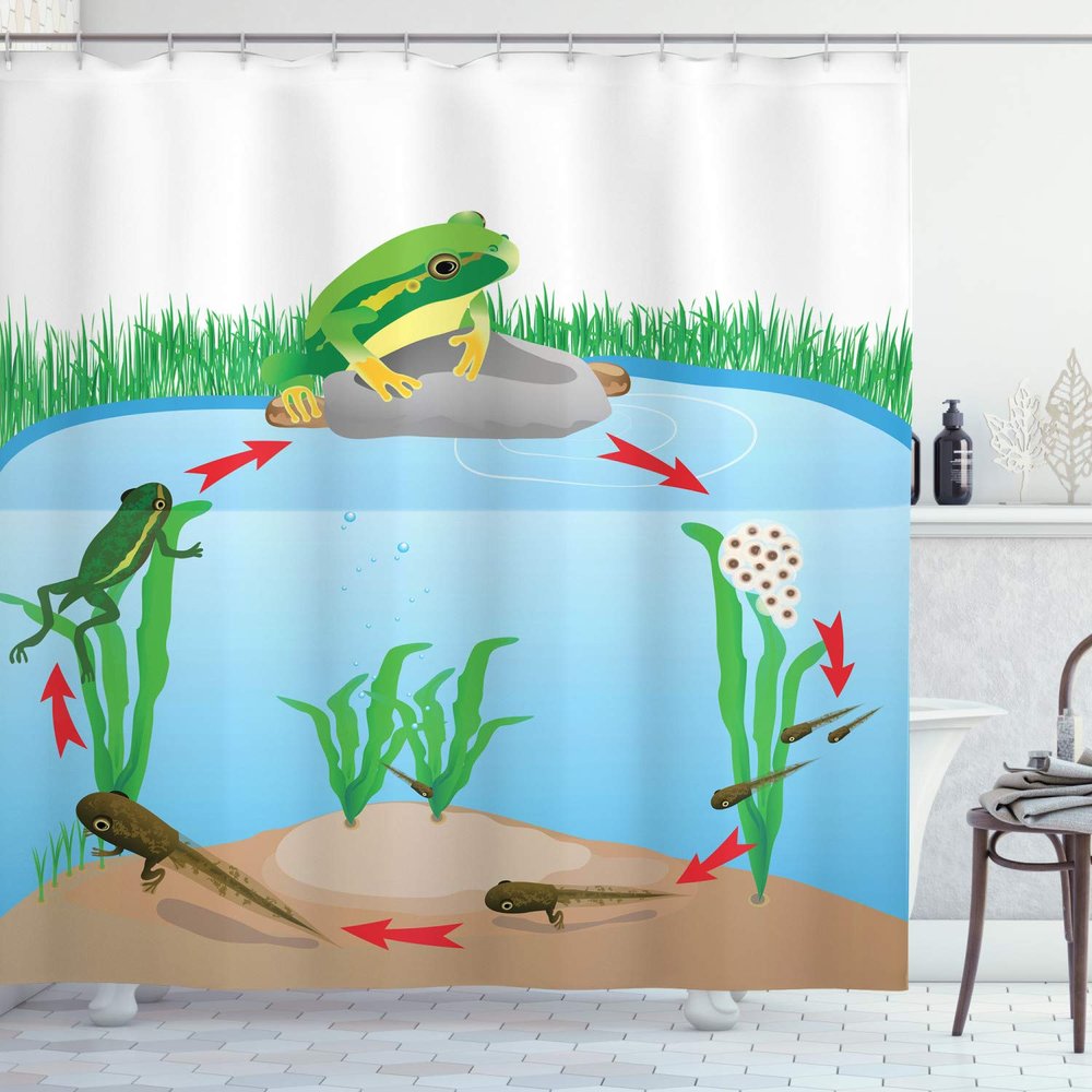 Ambesonne Animal Shower Curtain, Life Cycle of Tropic Tree Frog Presents with Aquatic Elements Evolution in Nature, Cloth Fabric Bathroom Decor Set with Hooks, 69" W x 75" L, Blue Green