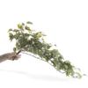 Factory Direct Craft Cascading Flocked Artificial Ivy Bush for Home Decor, Crafting and Displaying view 2
