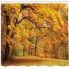 Ambesonne Forest Shower Curtain, Warm Fall Scenery Pale Maple Leaves in The Woodland November Season Woodlands, Cloth Fabric Bathroom Decor Set with Hooks, 69" W x 75" L, Orange Brown view 2