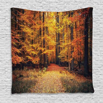 Ambesonne Forest Tapestry, Fall Photo in National Park Vivid Leaf Plant Eco Earth Theme, Wall Hanging for Bedroom Living Room Dorm Decor, 60" X 80", Orange and Brown