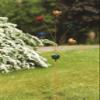 Ancient Graffiti Multicolor Lily Cup Lawn Chimes, 19" x 55" x 19" view 2