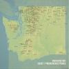 Washington 2000' Prominence Peaks Map 18x24 Poster (Natural Earth) view 1