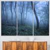 Designart Trail Through Blue Fall Forest-Landscape Photo Canvas Art Print-36x28in-Multipanel 3 Piece, 36x28-3 Panels view 1