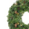 Northlight Z99420 24" Pre-Lit Dakota Red Pine Artifici view 3