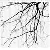 Ambesonne Black White Shower Curtain, Macro Leafless Winter Tree Branches Idyllic Twigs of Oak Nature Print, Cloth Fabric Bathroom Decor Set with Hooks, 69" W x 84" L, Black White view 2
