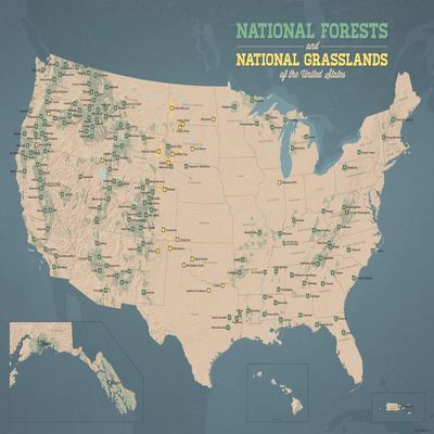 US National Forests & Grasslands Map 18x24 Poster (Tan & Slate Blue)