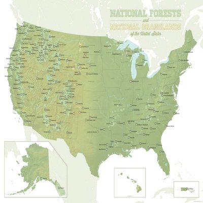 US National Forests & Grasslands Map 18x24 Poster (Army & White)