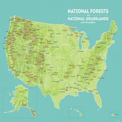 US National Forests & Grasslands Map 18x24 Poster (Green & Aqua)