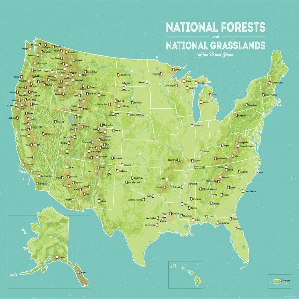US National Forests & Grasslands Map 18x24 Poster (Green & Aqua)