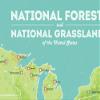US National Forests & Grasslands Map 18x24 Poster (Green & Aqua) view 3