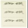 HEADS MS-16S Message Stickers, Gift Stickers, 30 Pieces, Made in Japan view 1