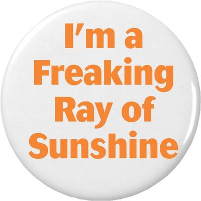 I'm a Freaking Ray of Sunshine 2.25 Large Magnet