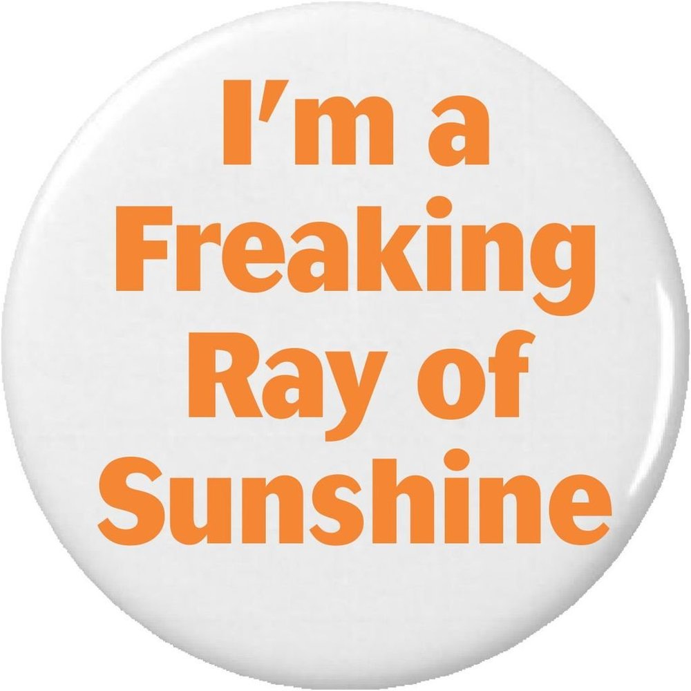 I'm a Freaking Ray of Sunshine 2.25 Large Magnet