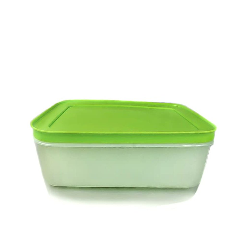 Tupperware A01 Igloo Box 1.0 L White Green 14168