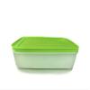 Tupperware A01 Igloo Box 1.0 L White Green 14168 view 1