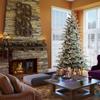 Vickerman 9' Frosted Eastern Fraser Fir Artificial Christmas Tree Unlit, Seasonal Indoor Home Decor view 3