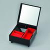  Jewelry Box Miho Matsubara and Mt. Fuji (B) 7V-404 view 2