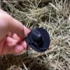 12pcs Mini Cowboy Hat Western Wedding Favors Decoration 2" Black by CalCastle view 4