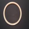 POOL LIGHT REPLACEMENT LENS GASKET FOR PENTAIR AMERILITE SAM 79101600 O-170 view 2