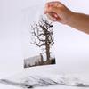 Factory Direct Craft Package of 36 Create Your Own Haunted Goody Bags for Halloween Parties and Everyday Fun view 3