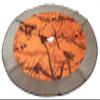 Carstens Realtree Orange AP Camo Blaze Christmas Tree Skirt view 1