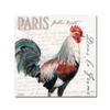 Trademark Fine Art Dans la Ferme Rooster III by Jennifer Redstreake, 24x24-Inch view 1