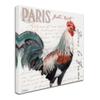 Trademark Fine Art Dans la Ferme Rooster III by Jennifer Redstreake, 24x24-Inch view 2
