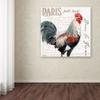 Trademark Fine Art Dans la Ferme Rooster III by Jennifer Redstreake, 24x24-Inch view 3