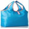 Audubuku 4142 Tote Bag, Cooler Bag, Folds Compactly, Sky Blue view 2