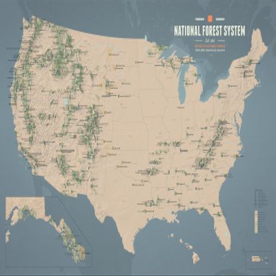 US National Forest System Map 24x36 Poster (Tan & Slate Blue)