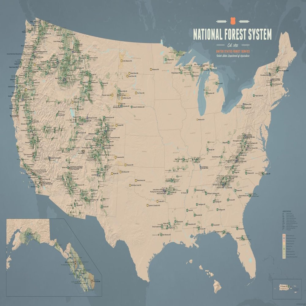 US National Forest System Map 24x36 Poster (Tan & Slate Blue)