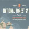 US National Forest System Map 24x36 Poster (Tan & Slate Blue) view 4