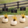 Darice DTB12165CP 6 Piece David Tutera Circle Copper Card Holder Pick view 3