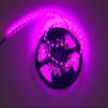 Huyaled SMD5050 12V 14.4W Per Meter 300leds 16.4ft Length Pink Color Led Strip view 3