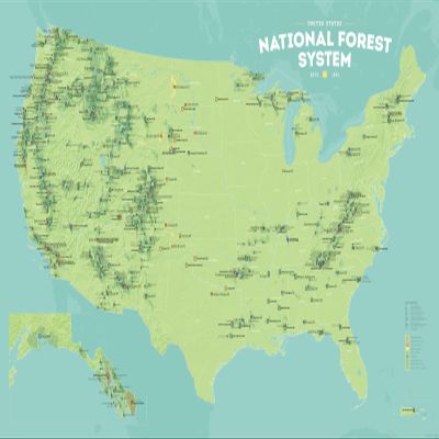 Best Maps Ever US National Forest System 24x36 Poster (Green & Aqua)