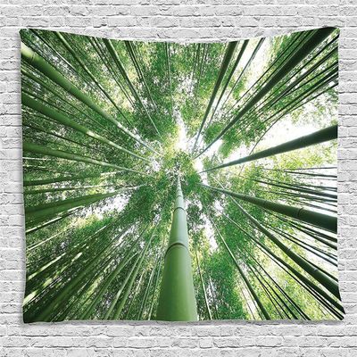 Ambesonne Forest Tapestry, Tropical Rain Forest Tall Trees in Exotic Style Nature Theme Image Sky from Woodland, Wide Wall Hanging for Bedroom Living Room Dorm, 80" X 60", Green