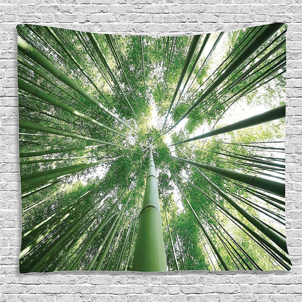 Ambesonne Forest Tapestry, Tropical Rain Forest Tall Trees in Exotic Style Nature Theme Image Sky from Woodland, Wide Wall Hanging for Bedroom Living Room Dorm, 80" X 60", Green