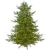 Real Touch Pre-Lit Full Oregon Noble Fir Artificial Christmas Tree - 6.5' - Warm White LED Lights view 1