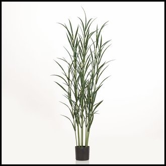 72in. Pampas Grass Cluster in Weighted Base, Outdoor Rated