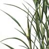 72in. Pampas Grass Cluster in Weighted Base, Outdoor Rated view 2