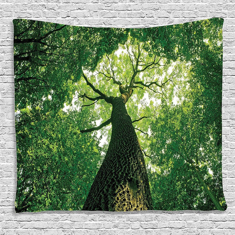 Ambesonne Forest Tapestry, Tall Old Tree View Sun Rays Top Branches Leaves Nature Picture, Wide Wall Hanging for Bedroom Living Room Dorm, 60" X 40", Green Pale Green Brown