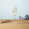 ADERIA 8617 IPT Plaisile Flute Champagne Glasses, Clear, 6.9 fl oz (170 ml), Set of 4, Made in Japan, Dishwasher Safe, Break-Resistant, Wine, Cocktail, Sparkling, Stylish, Brandy, Champagne, White view 4