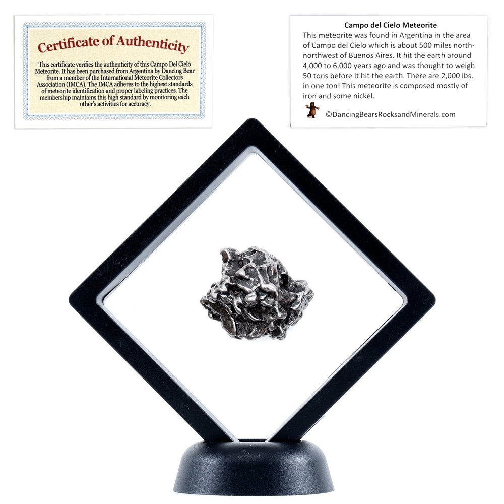 DANCING BEAR Real Meteorite Extra Large (35-55g) Genuine Form Campo Del Cielo Argentina, Certificate of Authenticity, Display Stand, ID Card, Space Rock, Assembled in The USA