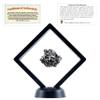 DANCING BEAR Real Meteorite Extra Large (35-55g) Genuine Form Campo Del Cielo Argentina, Certificate of Authenticity, Display Stand, ID Card, Space Rock, Assembled in The USA view 1