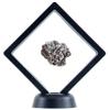 DANCING BEAR Real Meteorite Extra Large (35-55g) Genuine Form Campo Del Cielo Argentina, Certificate of Authenticity, Display Stand, ID Card, Space Rock, Assembled in The USA view 3