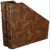 Taupe  Magazine File Foolscap Folio Brown view 1