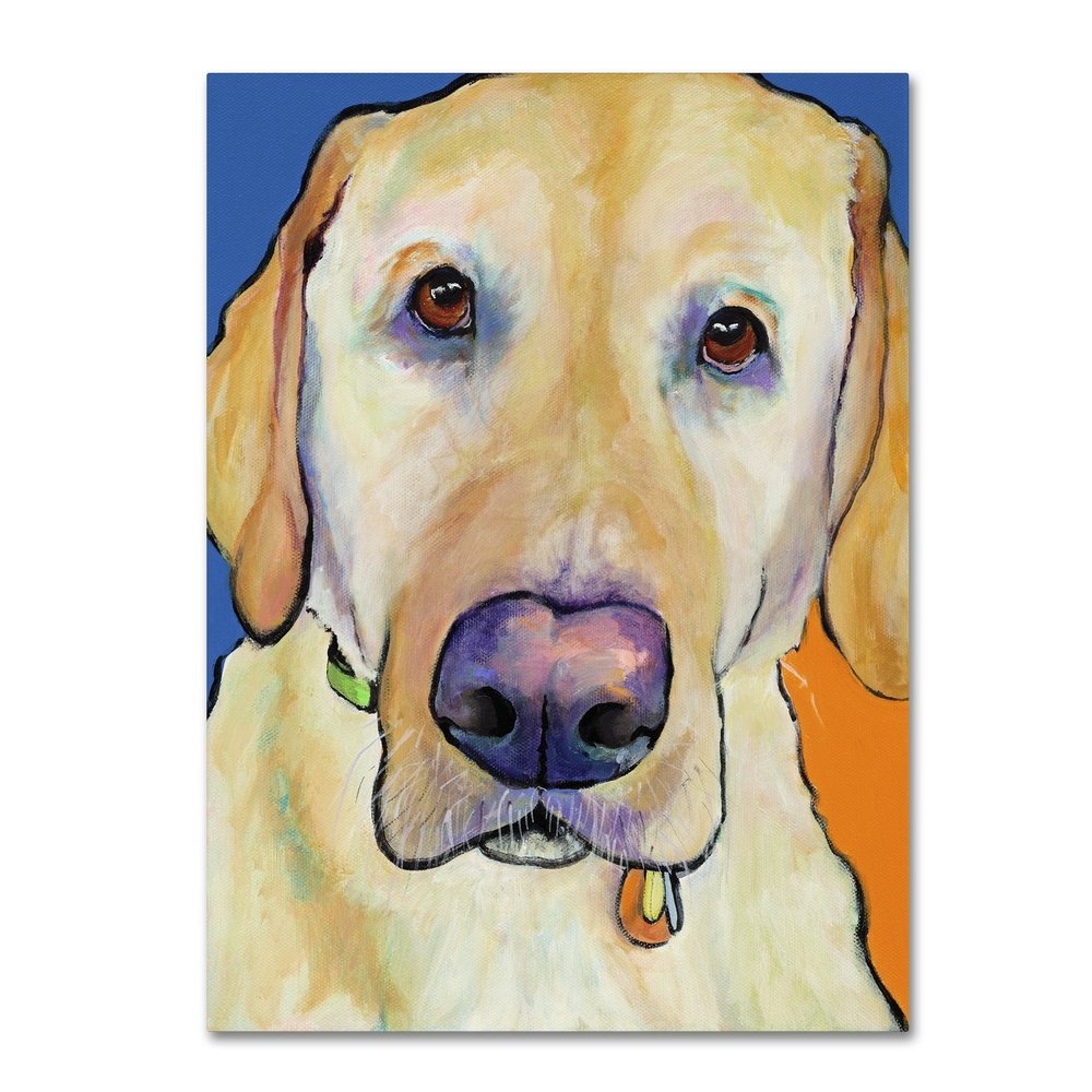 Trademark Fine Art Spenser by Pat Saunders-White, 18x24-Inch